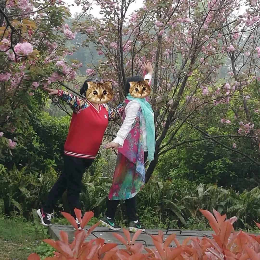 清明赏花的宜宾嬢嬢些，你们妖娆的纱巾美到我了！