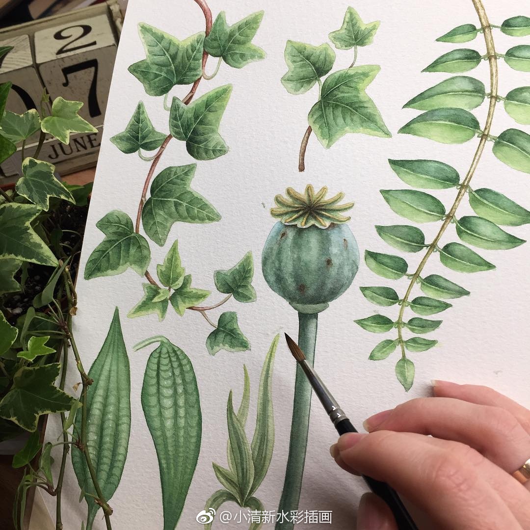来自水彩艺术家marina的 作品,清新自然~ ins:mari_horbachova (转)