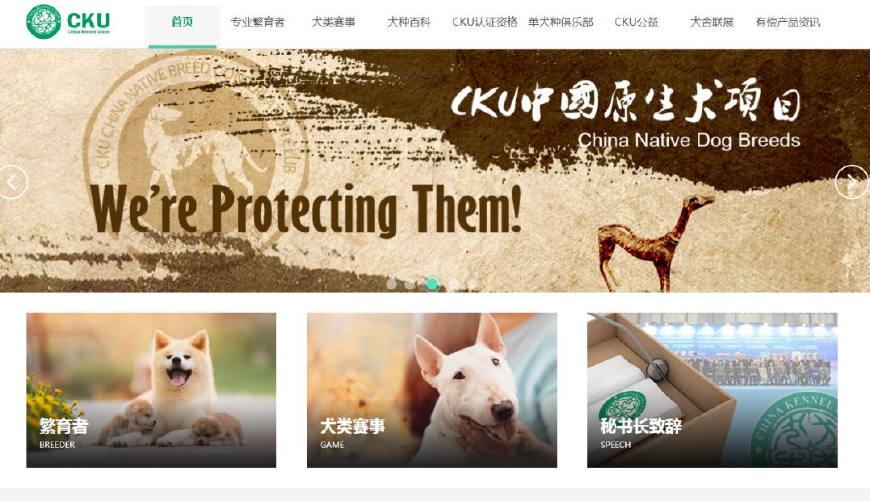 为什么你总把狗养死？答案全在这了