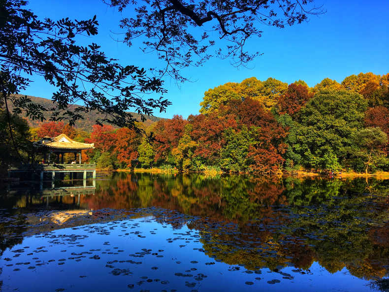 南京钟山风景区的几处小众绝美风景!