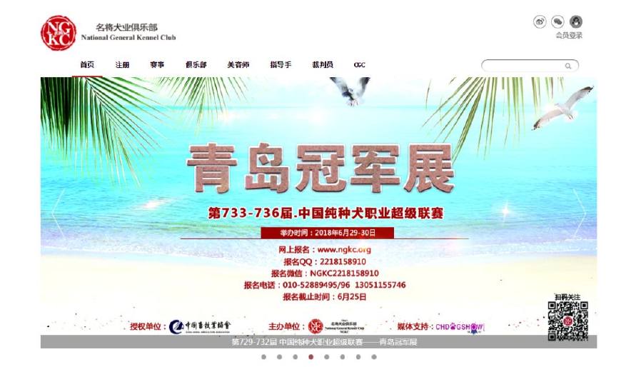 为什么你总把狗养死？答案全在这了
