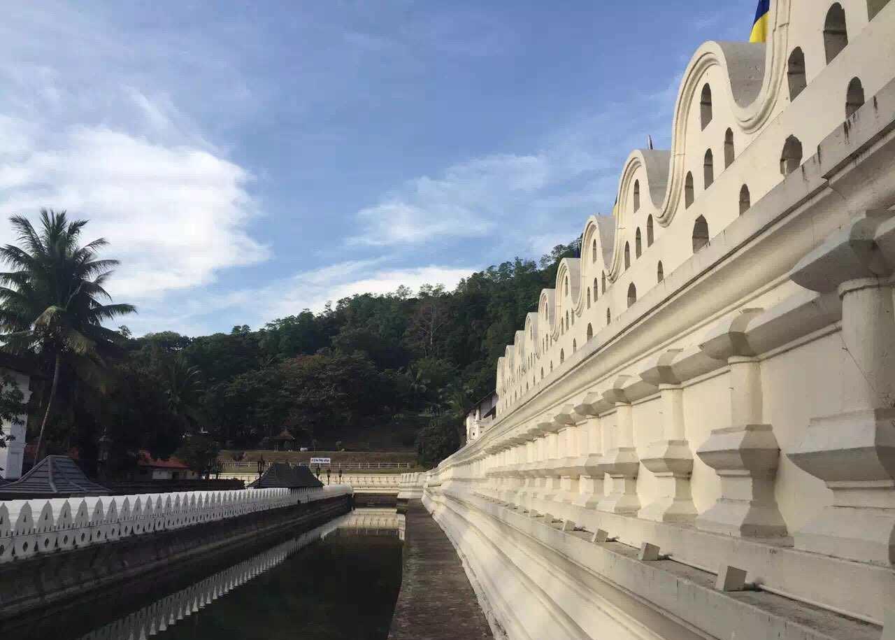 这个神奇的国家叫斯里兰卡! ! !