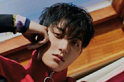 黄子韬成立个人公司,温情表白爸爸。子韬爸爸