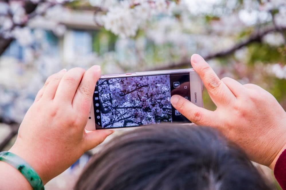 上海甘泉外国语中学举办第19届樱花节,外语名
