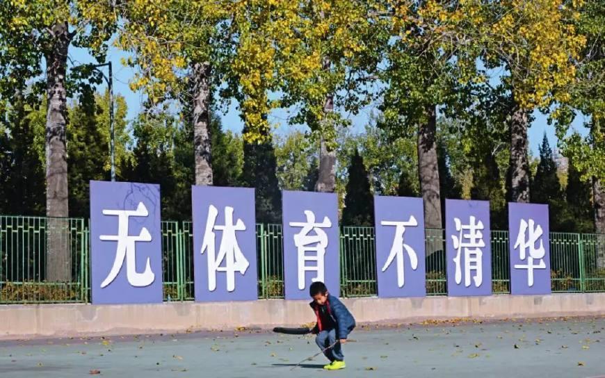 大学排行榜(附: 430所大学2017年浙江高考录取