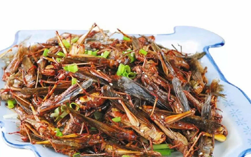 2,炸蝗虫(墨西哥):"这是墨西哥的一种食物,实际上就是用油炸的蝗虫.