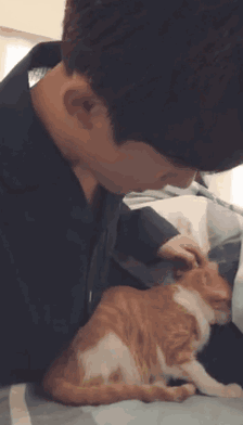 “迷人”的粉丝经济