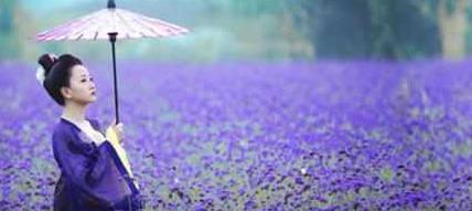 李光洙的眼中只有杨颖,韩国人眼中的中国美女