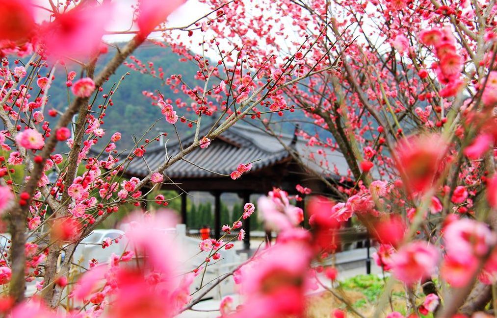 建德成为全国第一个中国气候宜居城市