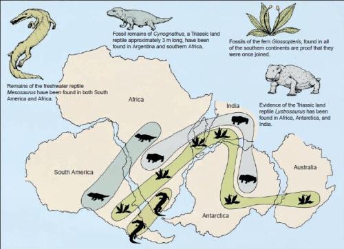 大陆漂移学说产生之前有一种路桥论,认为大陆是通过狭小路桥连接