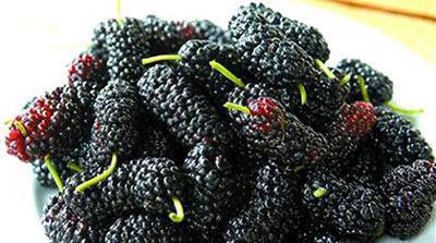 为什么黑色的食物补肾? 原因在这!