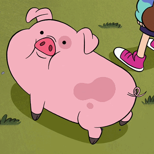 深红色的猪肉不能买[猪头]