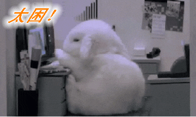 犯困的文字表情包