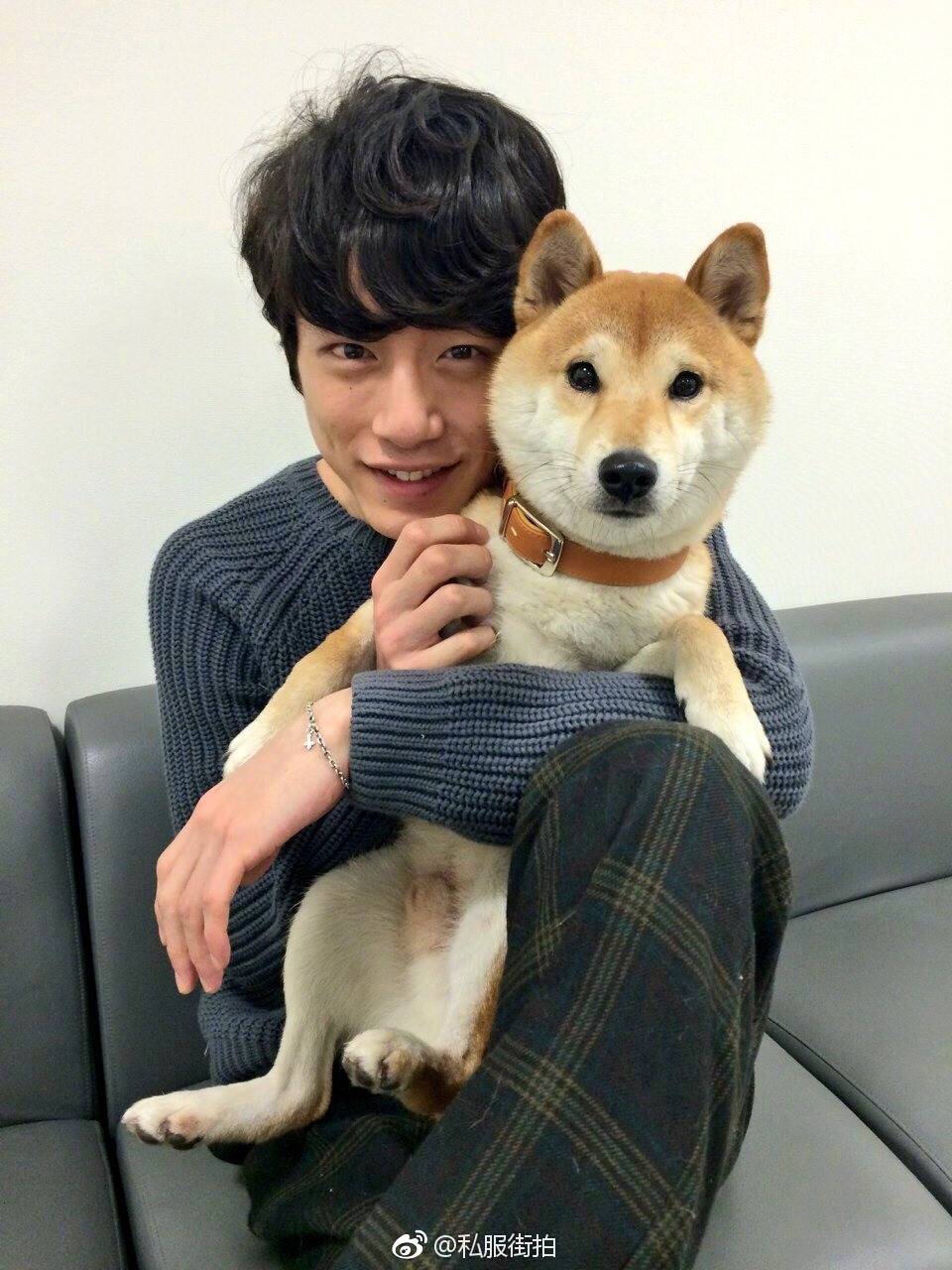 盐颜系小天使--坂口健太郎ken酱和高畑充希公布恋情了