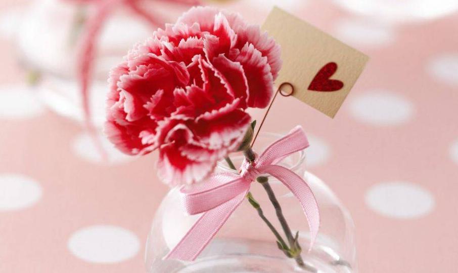 母亲节英语作文带翻译!