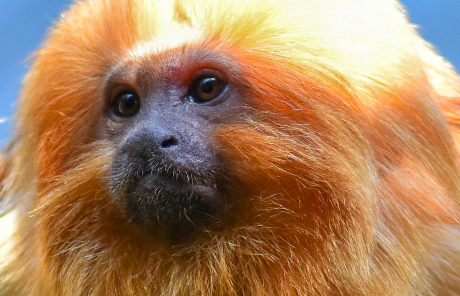 澳大利亚别开生面的生物课,老师带着学生就在