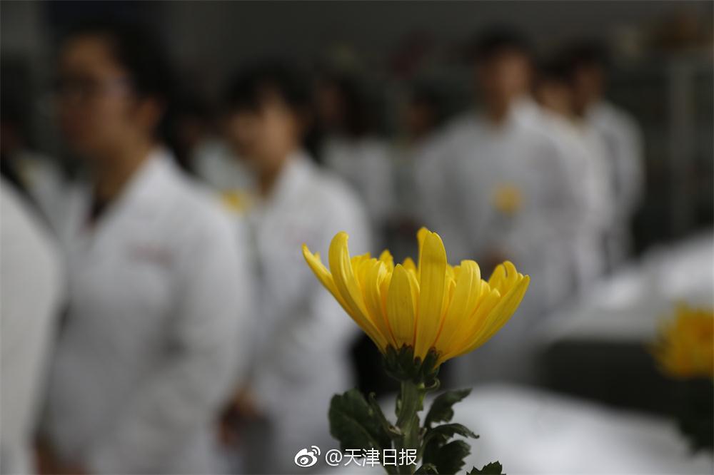 致敬大体老师医学生成医礼