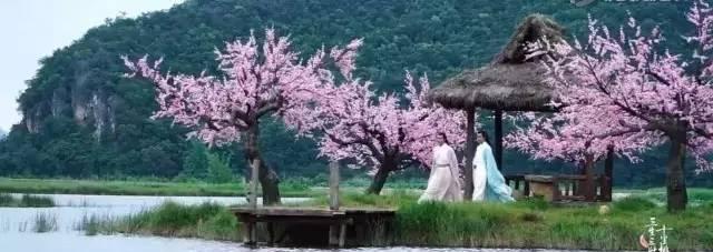 电视剧《三生三世十里桃花》的桃花仙境是真实存在的!