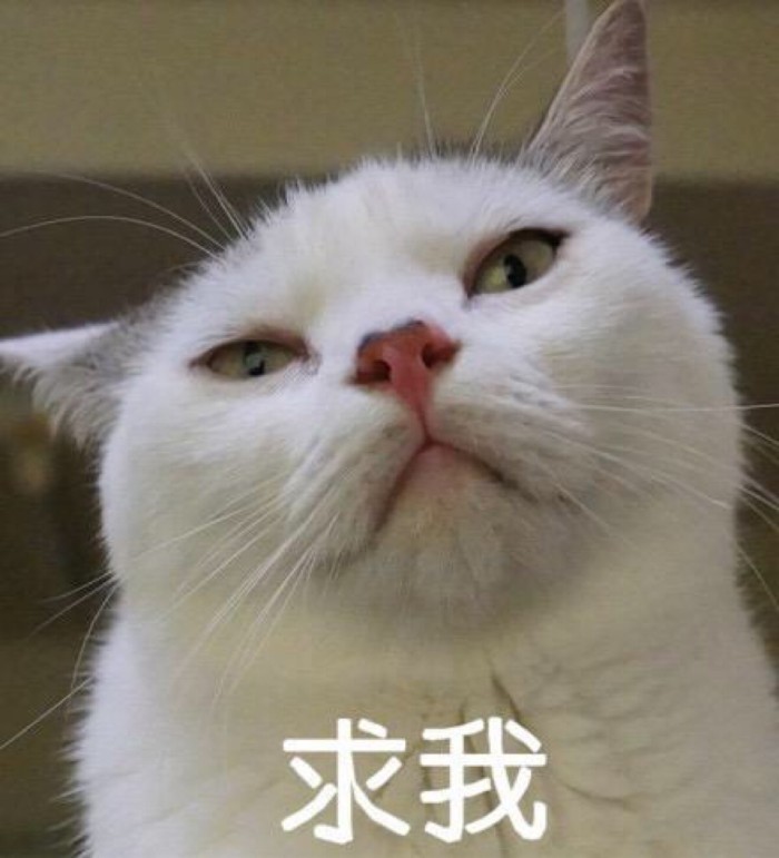 无水印喵星人表情包,我只是只什么都不懂的小猫咪啊
