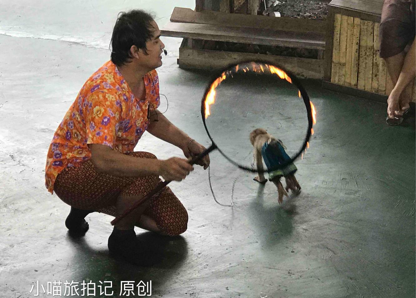 泰国很坑的景点 里面的猴子表演也有点忽悠|水上市场|泰国|火圈_新浪