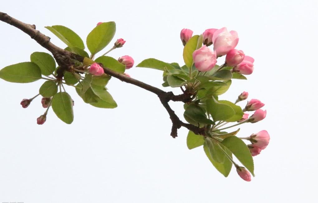 观点:高考对我们最大用处是多一种生活选择!