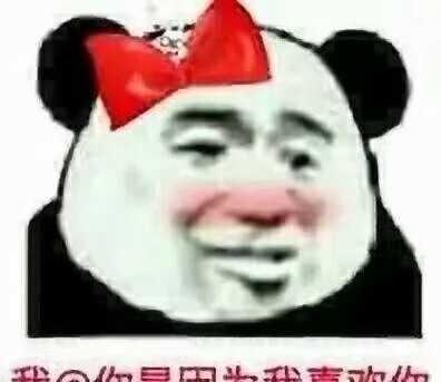 斗图表情,管理员,给我炒表情菜两个包人枪伊斯兰拔图片