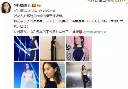 金魚從未放棄過自己