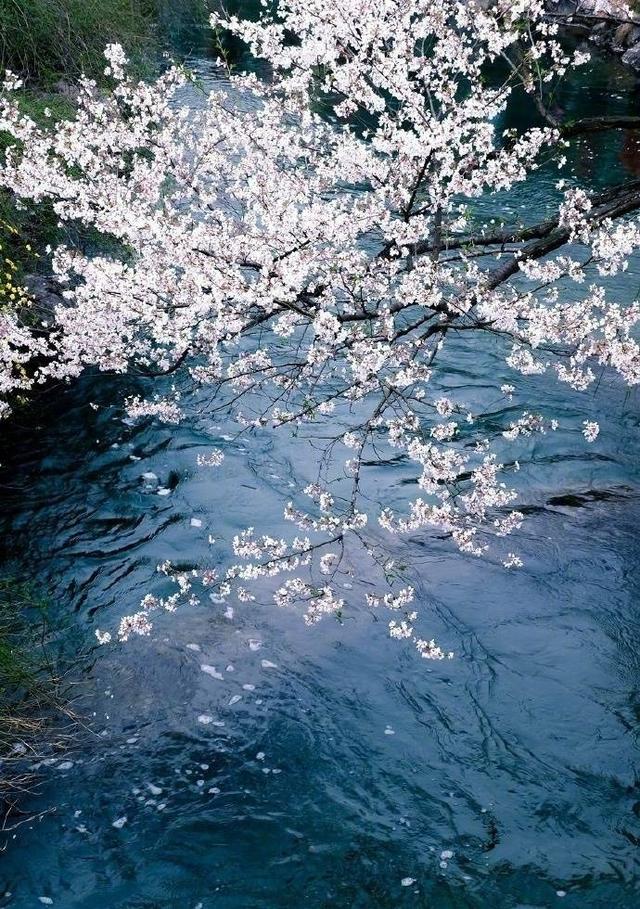 描写人生时光的诗词精选,人生时光流逝,一词一