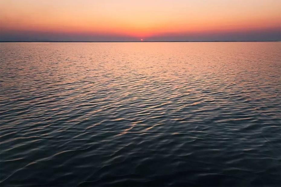 江苏高邮: 一枚“高邮湖咸鸭蛋”的自白