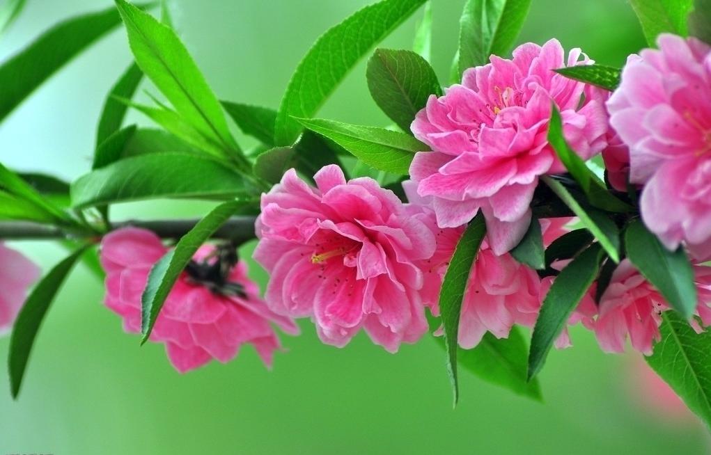 观点:高考对我们最大用处是多一种生活选择!