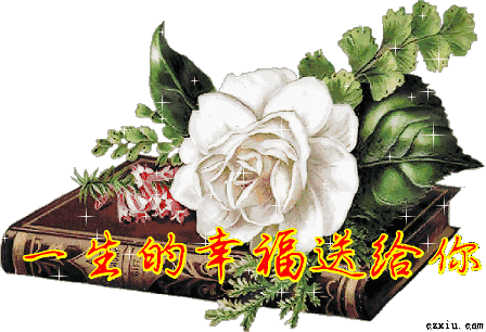 清明赏花的宜宾嬢嬢些，你们妖娆的纱巾美到我了！