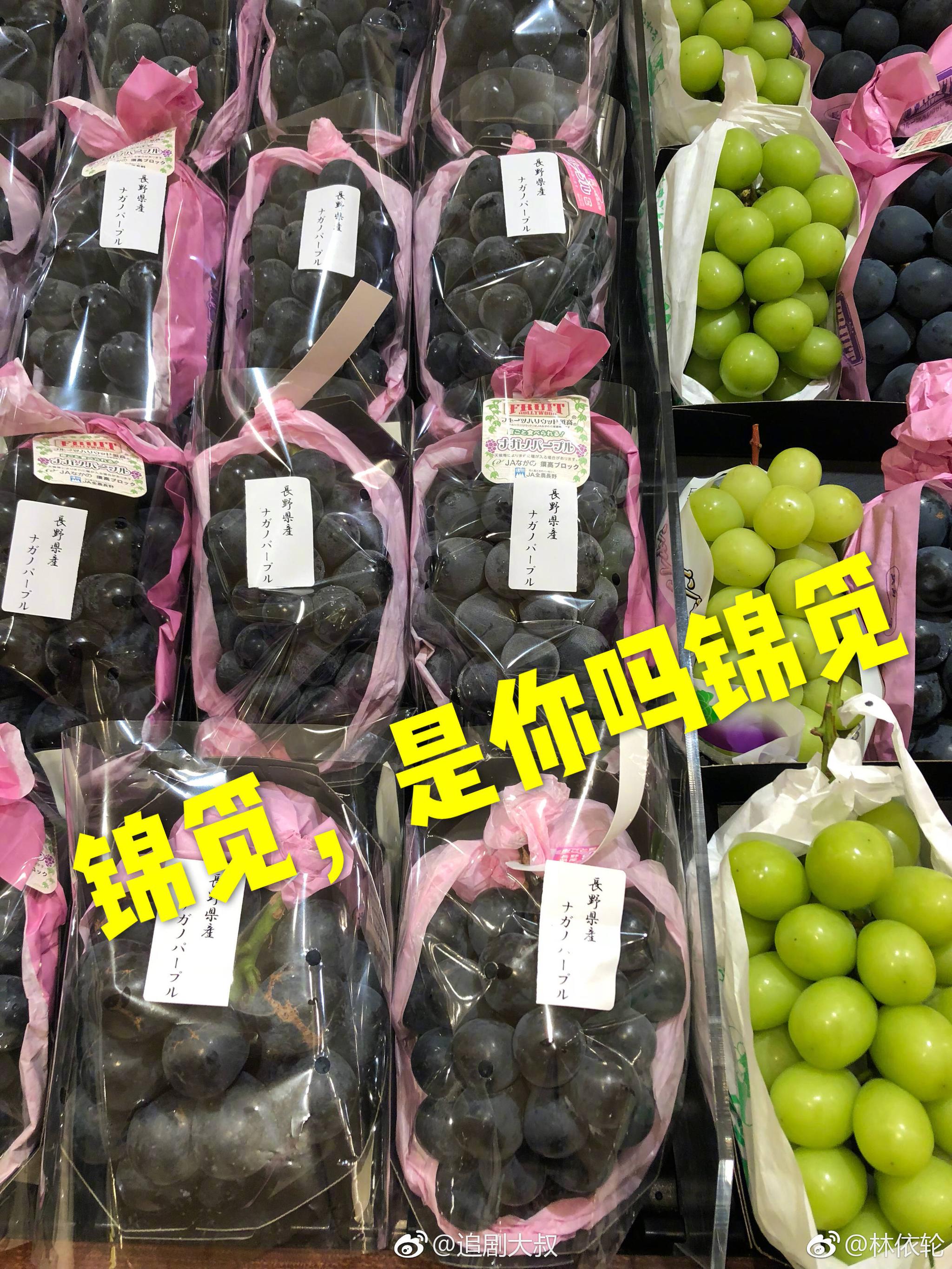 林依轮 杨紫 小葡萄VS爱情鸟@杨紫 @林依轮