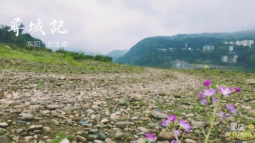 北碚私藏踏春路线曝光