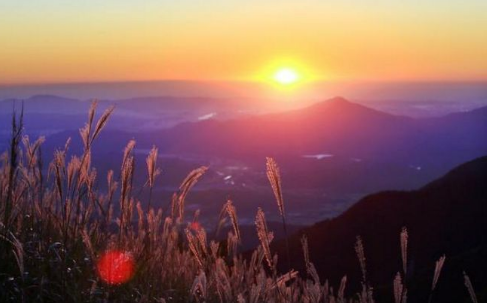 一周内,注定富贵花开,财星天财入库的3生肖