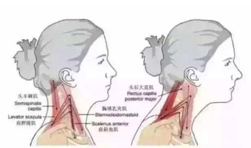 小拇指经常发麻别大意，可能是这3种疾病，不知道的宝妈太亏了