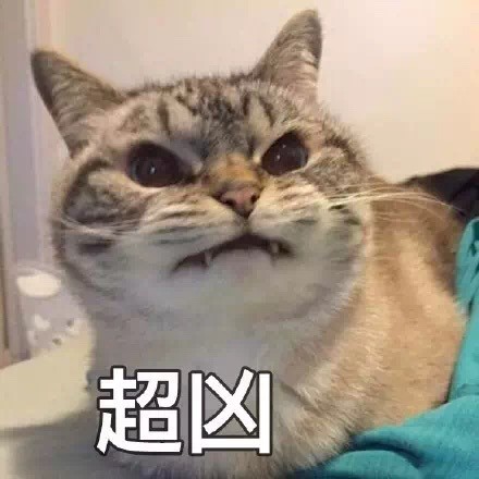 无水印喵星人表情包3:超凶