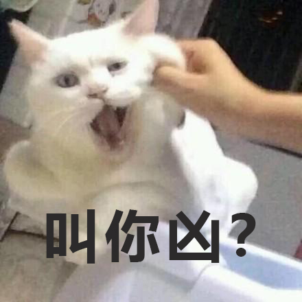 无水印喵星人表情包,我只是只什么都不懂的小猫咪啊