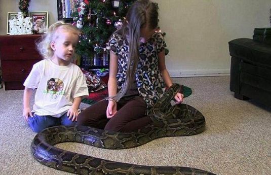 一男子送巨蟒给2岁儿子当生日礼物,一眨眼的功