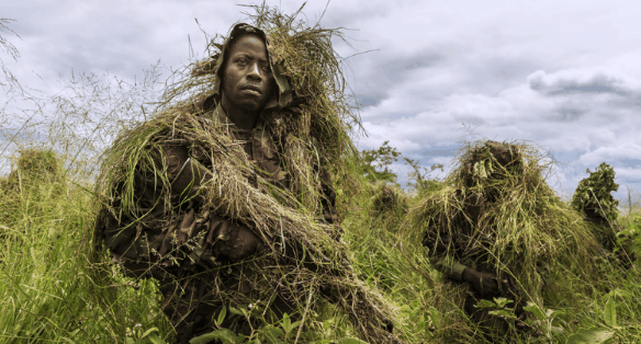 非洲最乱的国家公园, 武装组织偷盗野生动物