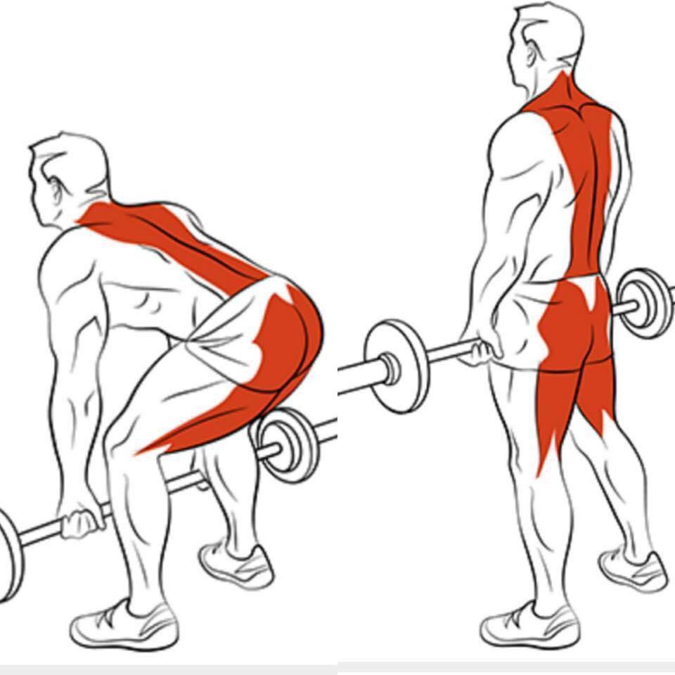 经典的背部训练动作,虐出倒三角!