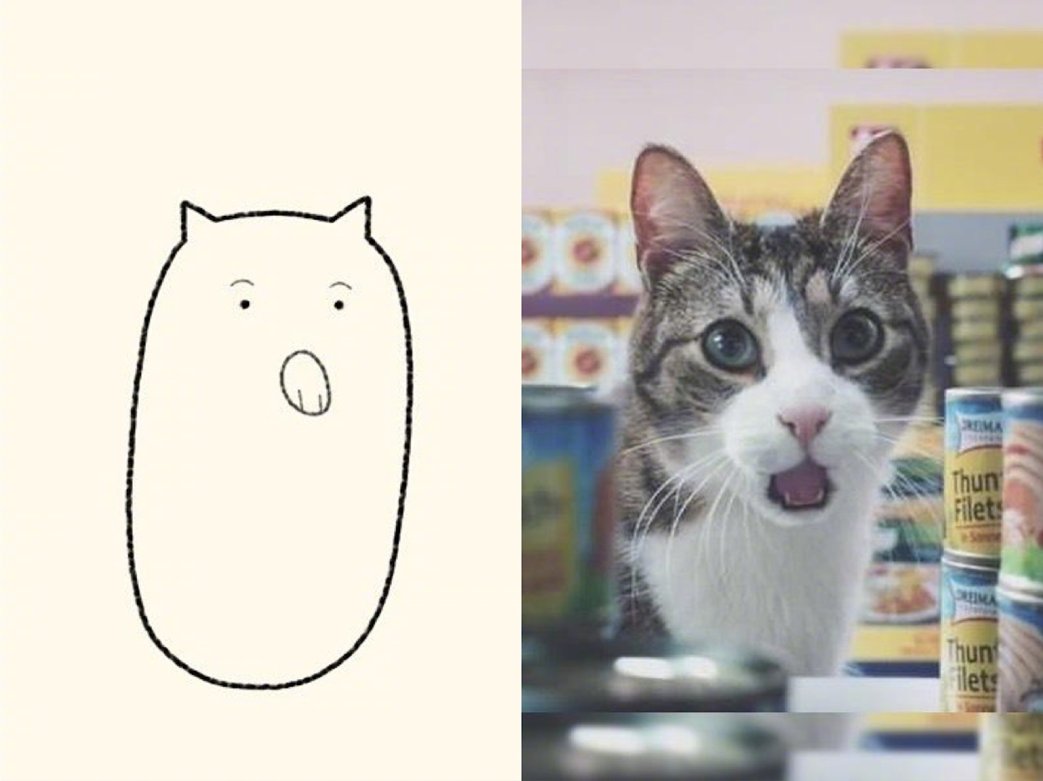 灵魂画猫师.Twitter:dailypurr