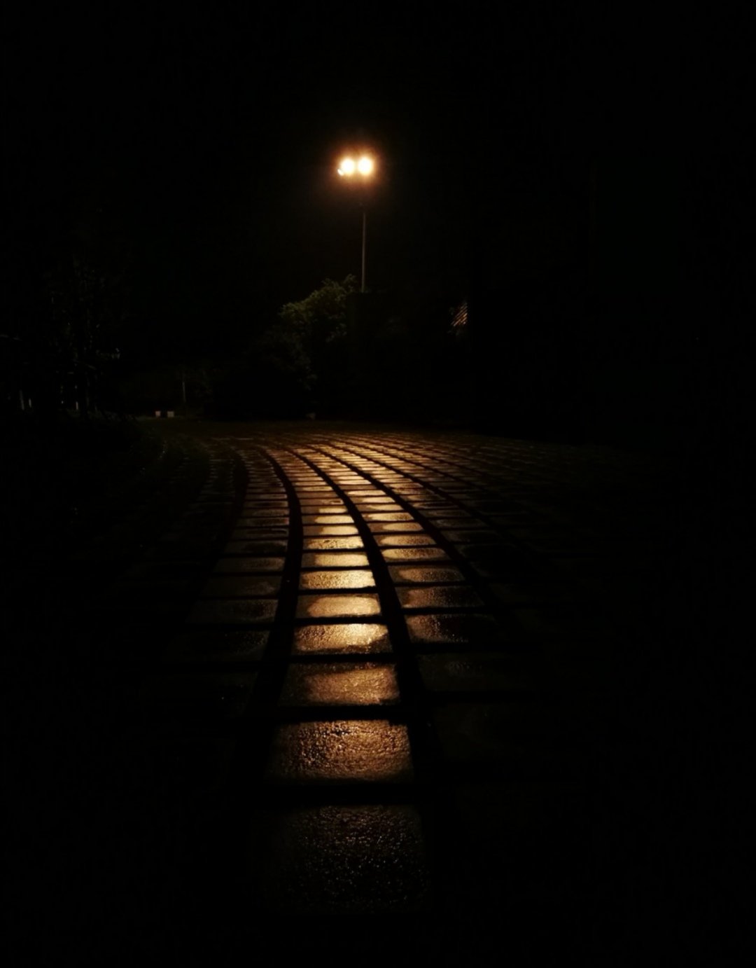 骑行时常骑夜路,一个人骑在黑夜里,并不觉得恐惧,只是