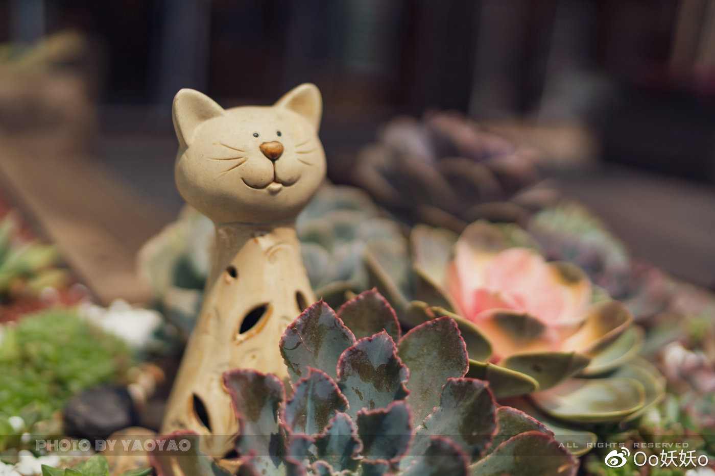 最文化之旅，带你品尝来自福州三坊七巷的“味道”