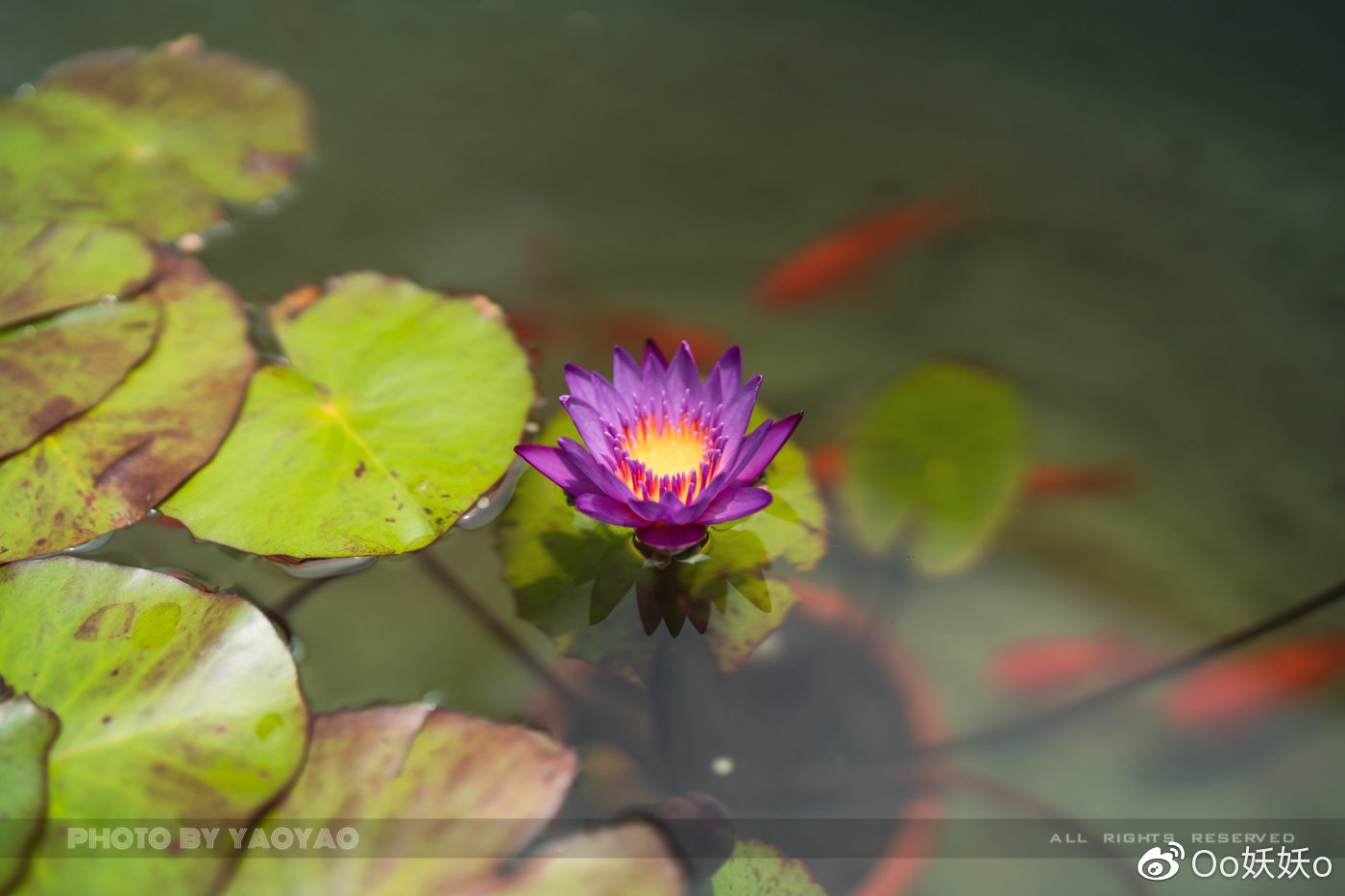 最文化之旅，带你品尝来自福州三坊七巷的“味道”