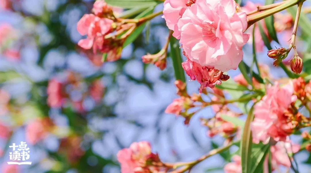 如果你有女儿，一定要教她如何择偶