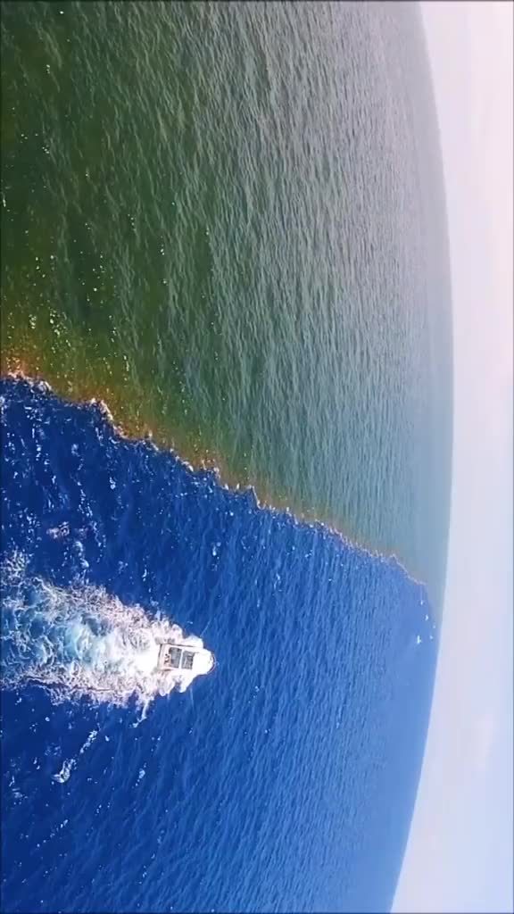太平洋和大西洋尽然有分界线,两边海水颜色都不一样