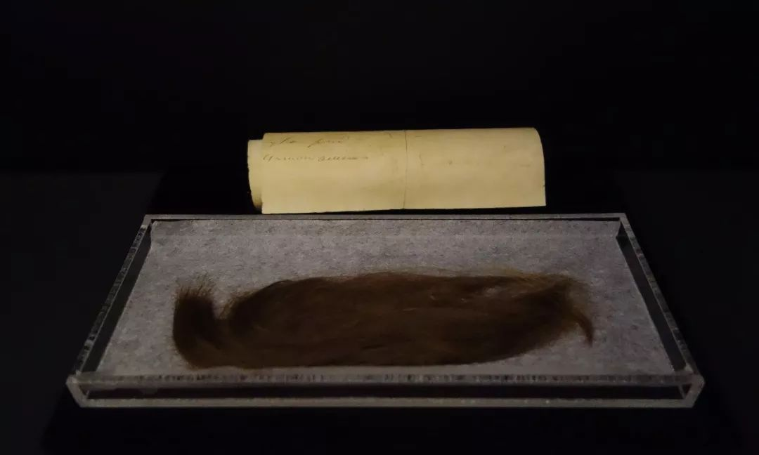 【音乐家的博物馆】肖邦