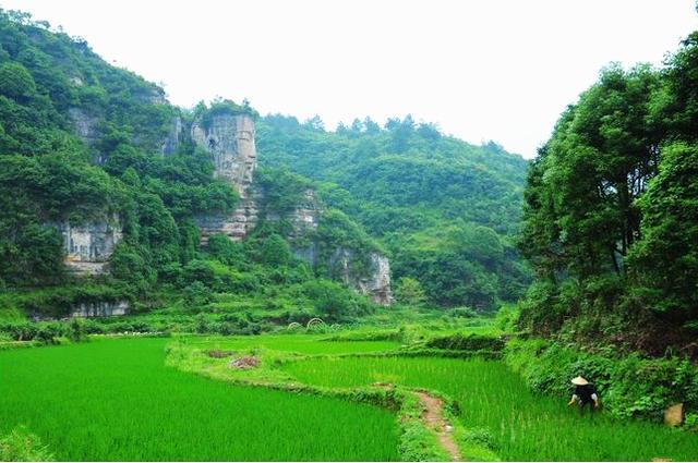 贵州山里发现大佛雕像,当地人说是唐朝的,实际却是现代工艺品