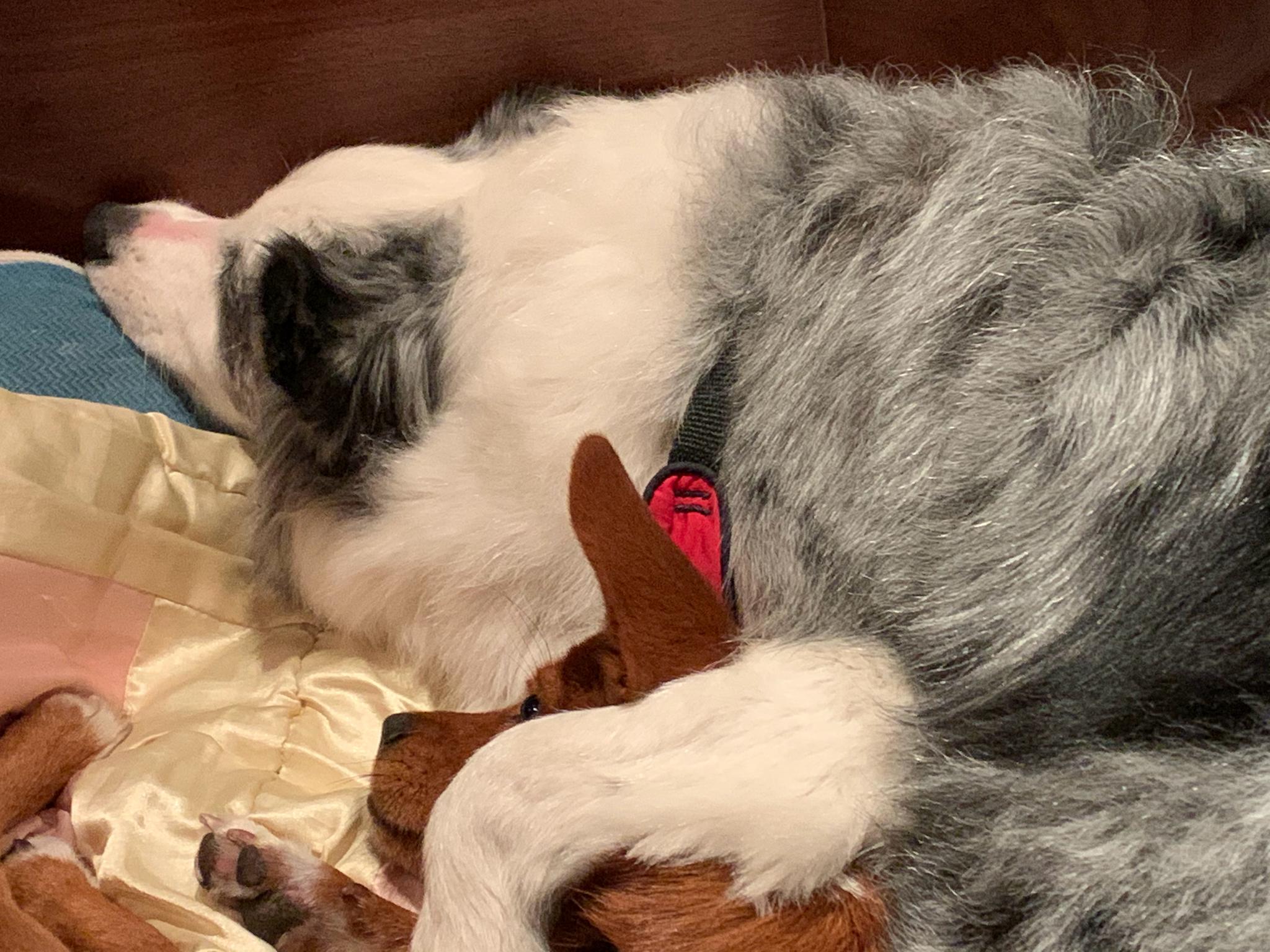 健:不敢动不敢动.