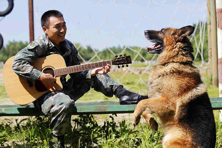 军犬死死咬住他的行李,退伍军人要离开,画面感人泪下
